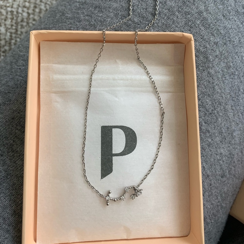 Pavoi Scorpio necklace